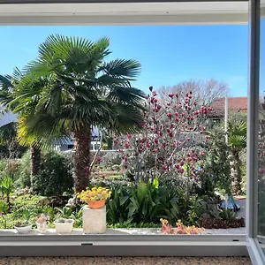Summer Bloom , Krk Town Kroatien